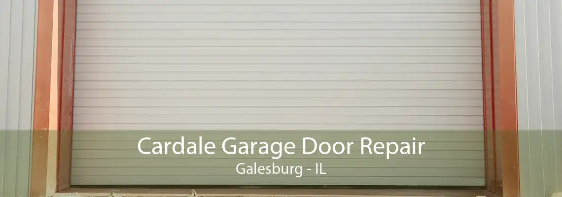 Cardale Garage Door Repair Galesburg - IL