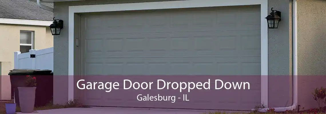 Garage Door Dropped Down Galesburg - IL