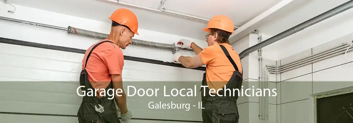 Garage Door Local Technicians Galesburg - IL