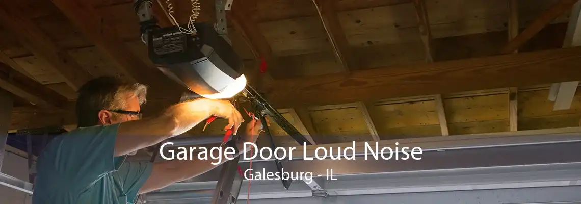 Garage Door Loud Noise Galesburg - IL