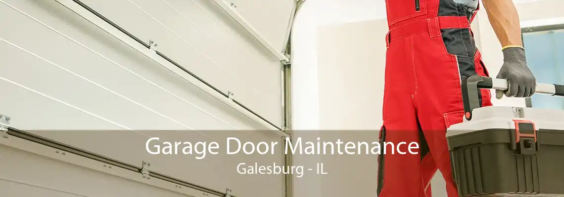 Garage Door Maintenance Galesburg - IL