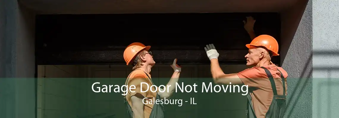 Garage Door Not Moving Galesburg - IL