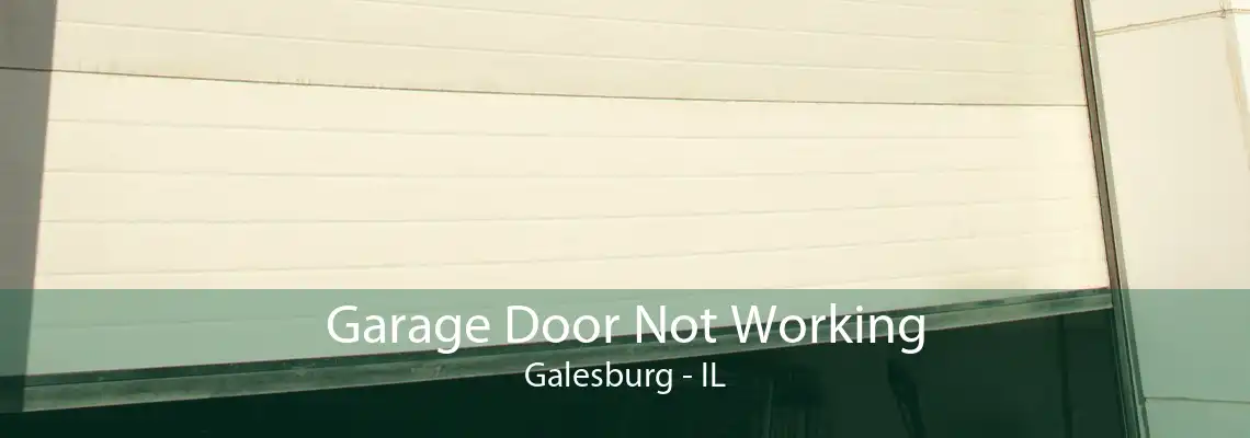 Garage Door Not Working Galesburg - IL