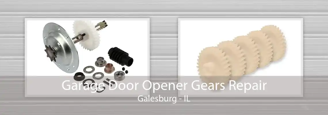 Garage Door Opener Gears Repair Galesburg - IL