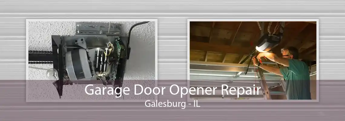 Garage Door Opener Repair Galesburg - IL