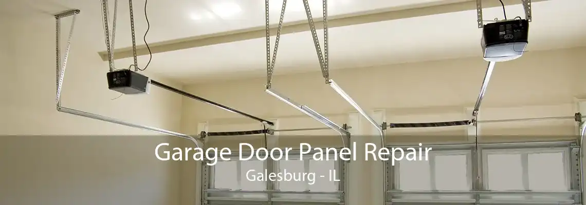 Garage Door Panel Repair Galesburg - IL