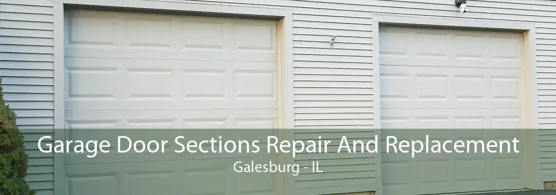 Garage Door Sections Repair And Replacement Galesburg - IL