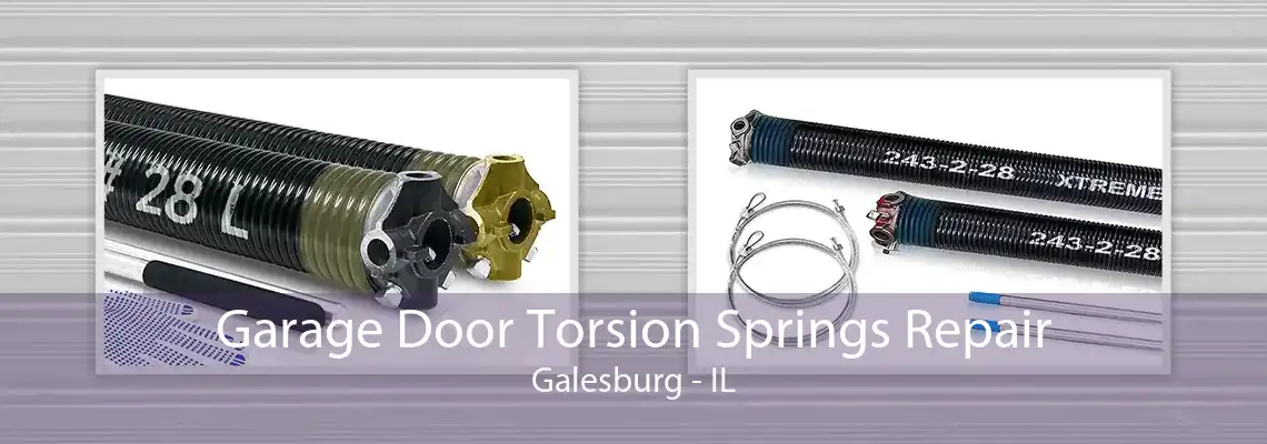 Garage Door Torsion Springs Repair Galesburg - IL