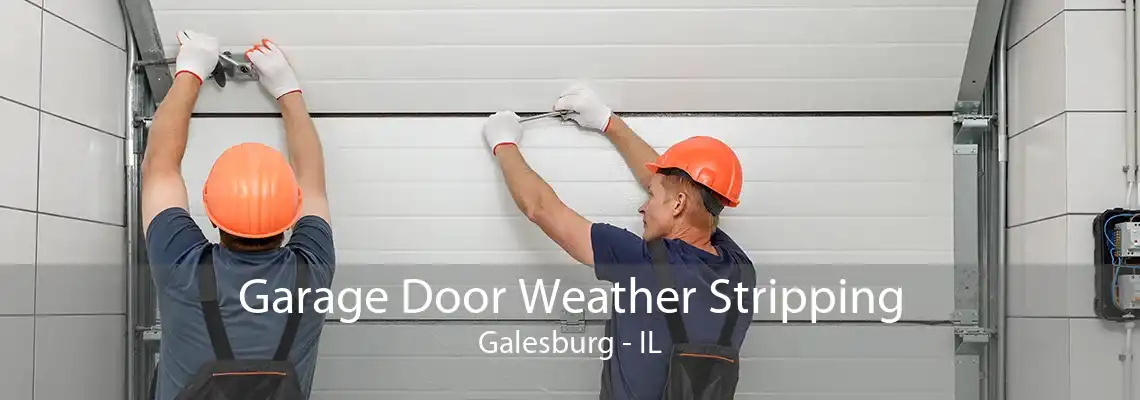 Garage Door Weather Stripping Galesburg - IL