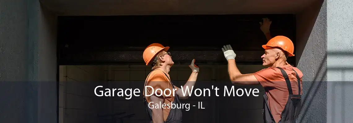 Garage Door Won't Move Galesburg - IL