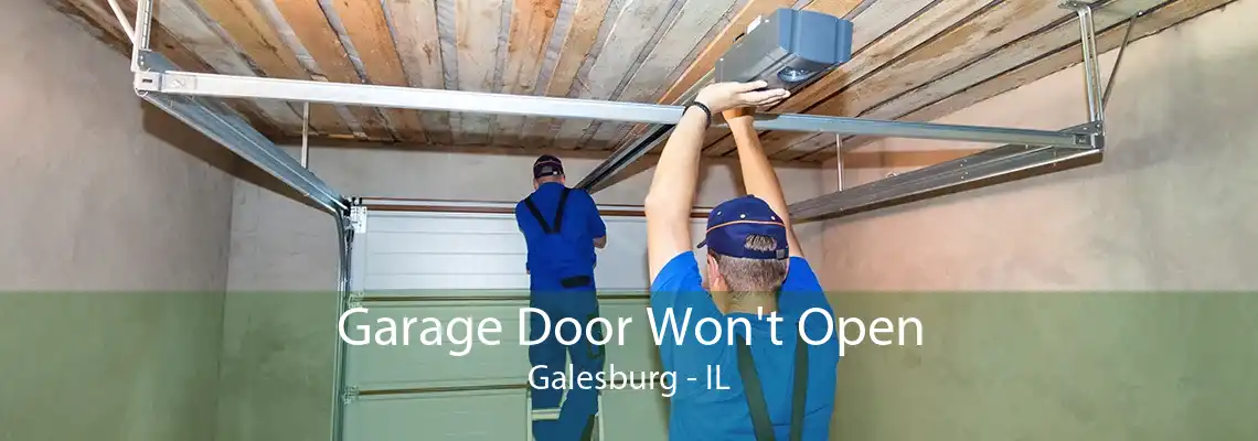 Garage Door Won't Open Galesburg - IL