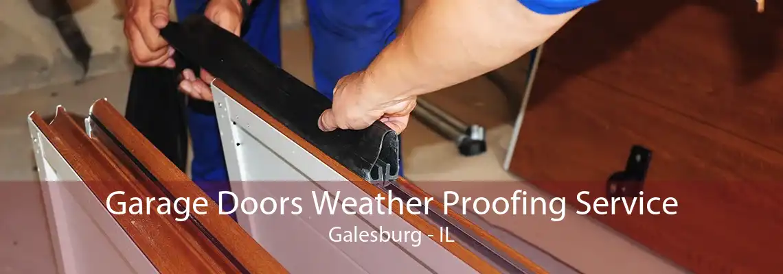 Garage Doors Weather Proofing Service Galesburg - IL