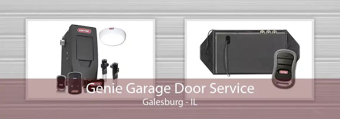 Genie Garage Door Service Galesburg - IL