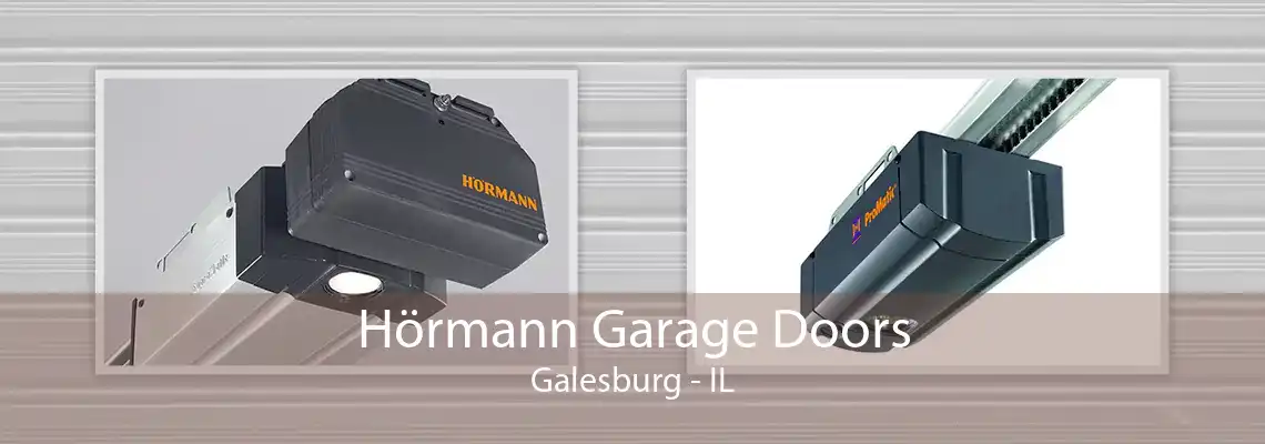 Hörmann Garage Doors Galesburg - IL