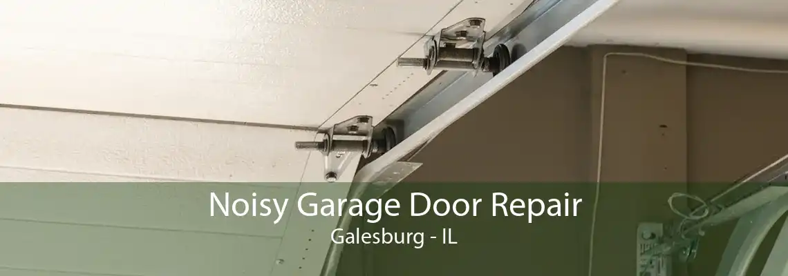 Noisy Garage Door Repair Galesburg - IL